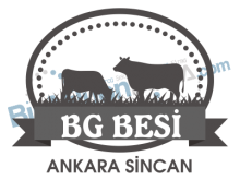BG Besi Ankara Sincan