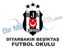 Diyarbakır Beşiktaş Futbol Okulu