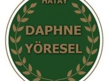 Hatay Daphne Yöresel