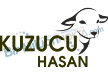 Kuzucu Hasan( Akyazı Adaklık Kurbanlık )