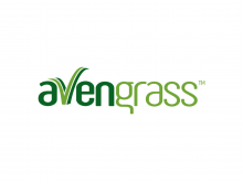 Aven Grass