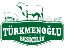 Türkmenoğlu Besicilik