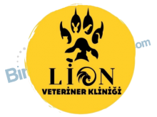 Lion Veteriner