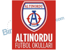 Altınordu Yenişehir Futbol Okulu