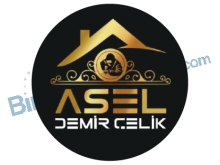 Asel Demir Çelik