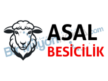 Asal Besicilik