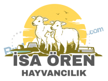firma logo