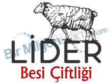 Lider Besi Çiftliği