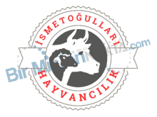 firma logo