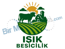 Işık Besicilik